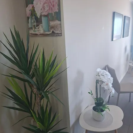 公寓 A Beautiful Beachfront Flat For 4 People With A Lovely Terrace Overlooking Sea